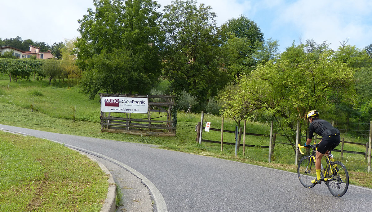 omardifelice ucdolomitica cadelpoggio